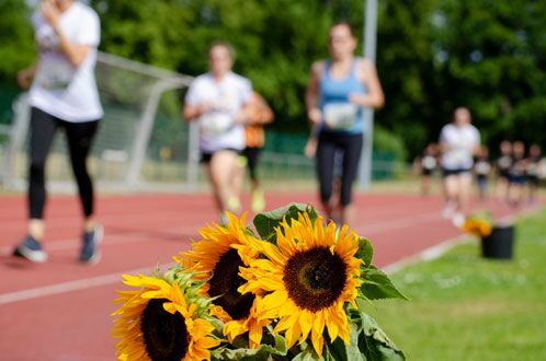Läufer auf der Tartanbahn, im Vordergrund Sonnenblumen