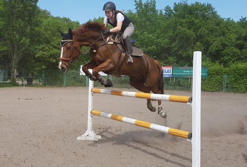 Reitsportverein Halle
