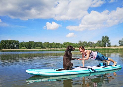 Stand-Up-Paddling mit Hund?