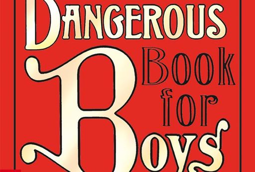 Buchvorstellung: Dangerous Book for Boys - Pulstreiber
