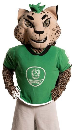 Maskottchen BalLEo