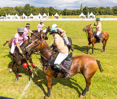 Pferdpolospieler auf dem Rasen
