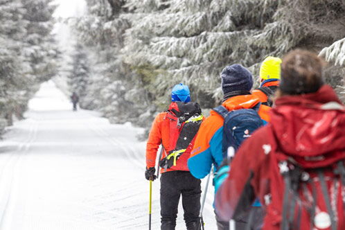 Gruppe von Langläufern auf einer Skipiste