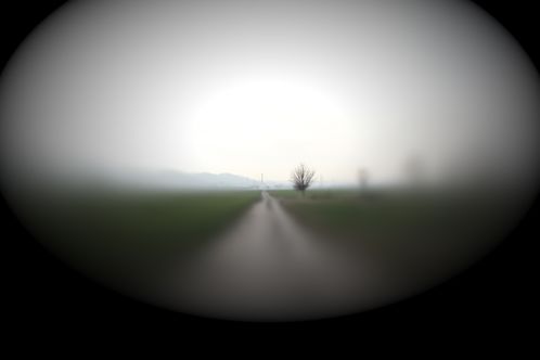 Dunkler Weg
