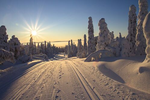Winterlandschaft in Finnland