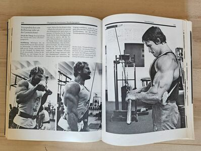 Cover des Buches "Das große Bodybuilding Buch"