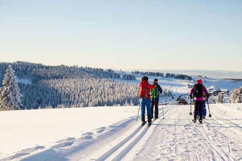 Skilangläufer auf der Piste