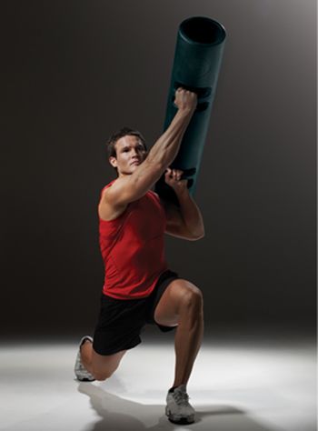 ViPR
