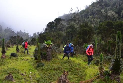 Reisebericht Uganda