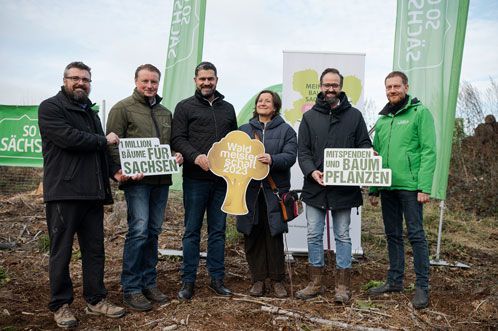 Sechs Personen beim Einpflanzen der ersten 300 neuen Eichen