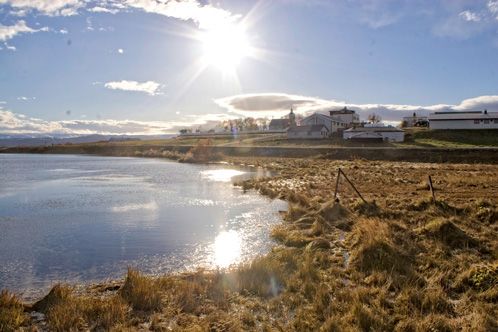 Landschaft in Island