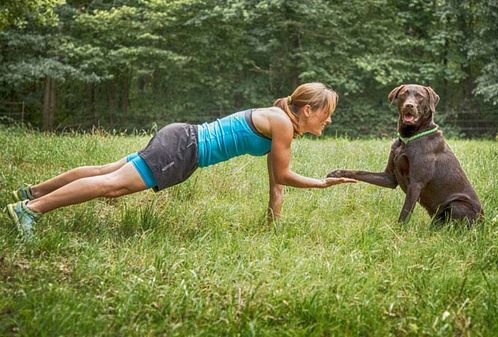 gaffel Begrænsning Udtømning Fitnesstraining mit Hund - Pulstreiber