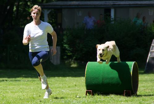 Hundesportverein Chemnitz-Borna