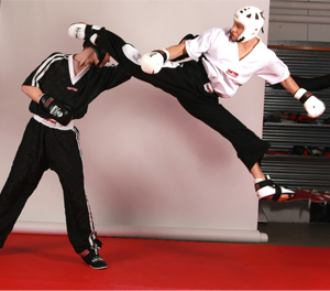 59+ Daniel Gärtner Karate 2003, Doktor der naturwissenschaften