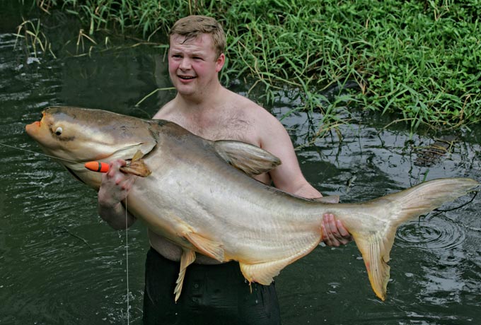 Rock 'n' Roll mit einem Catfish